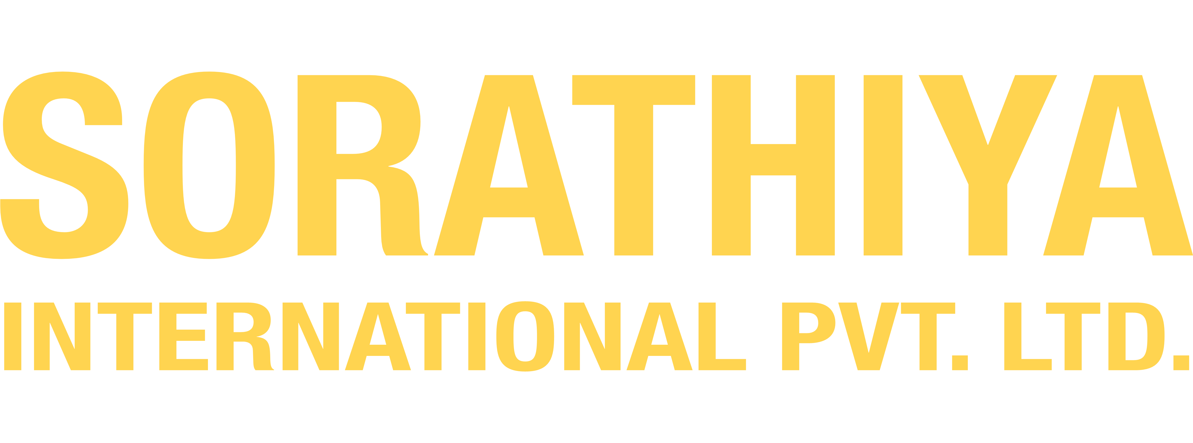 SORATHIYA INTERNATIONAL PVT. LTD. logo